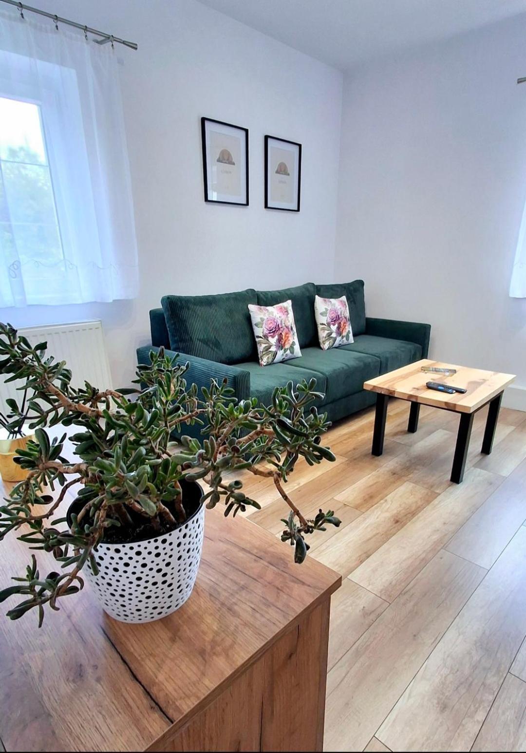 Apartament Dzika Roza Ковари Екстер'єр фото