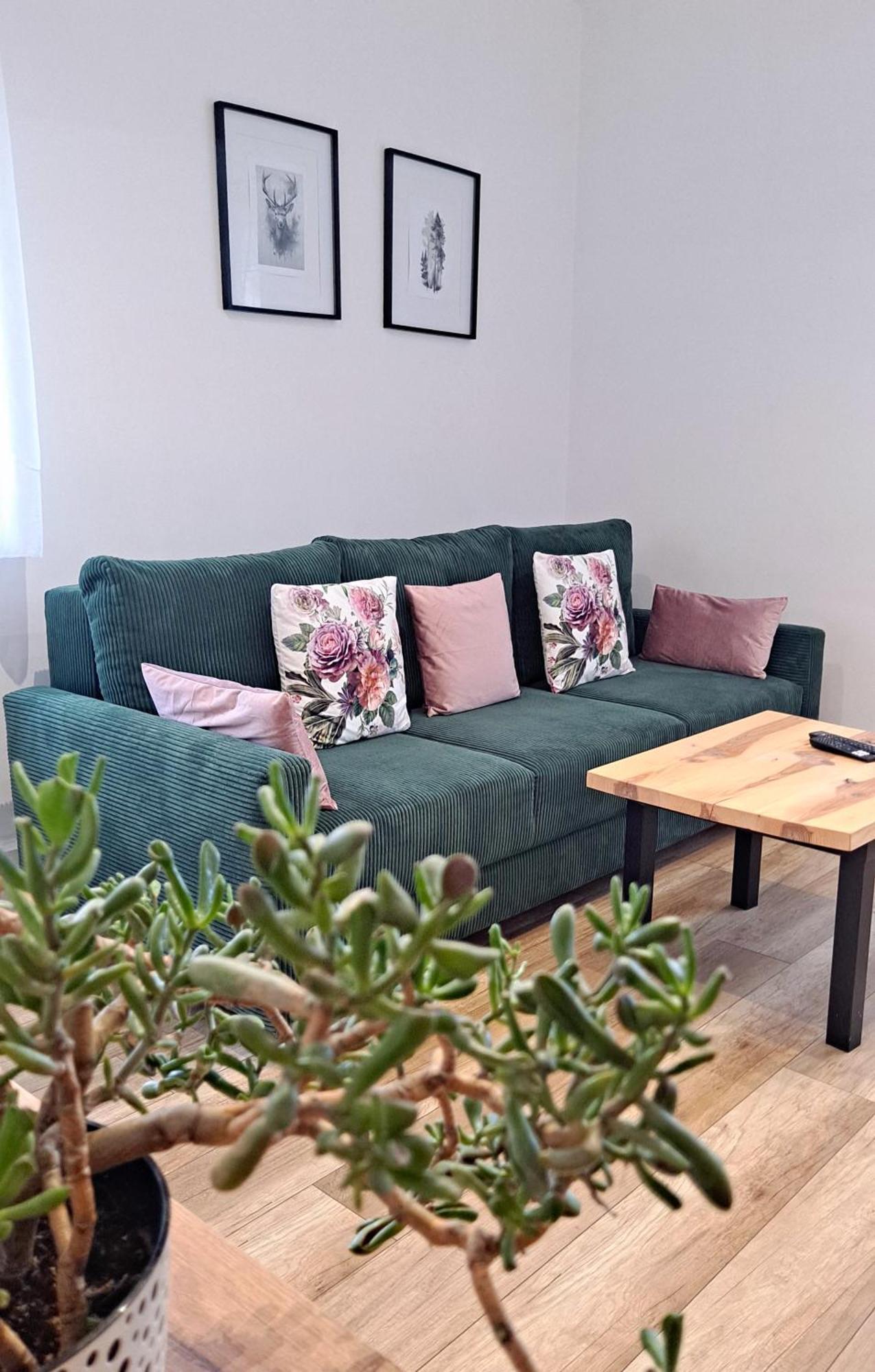 Apartament Dzika Roza Ковари Екстер'єр фото